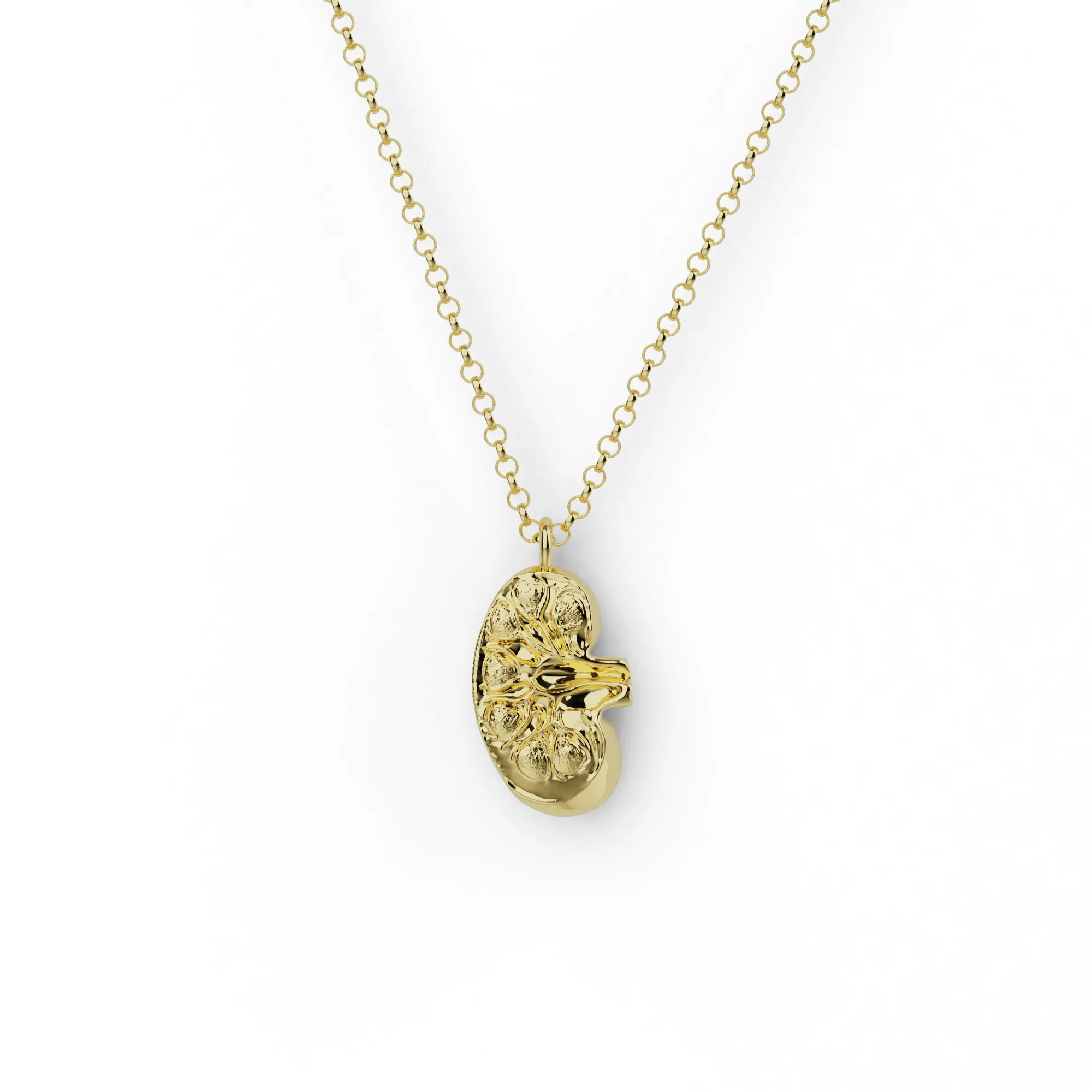 kidney necklace | gold vermeil