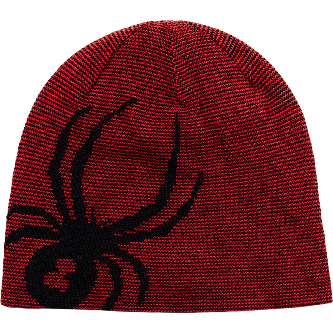 Spyder Reversible Bug Beanie - Boys