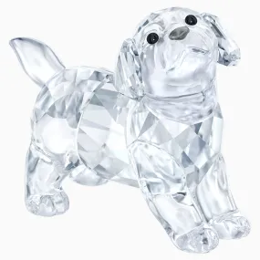 Swarovski Crystal Animal Figurine LABRADOR PUPPY, STANDING -5400141