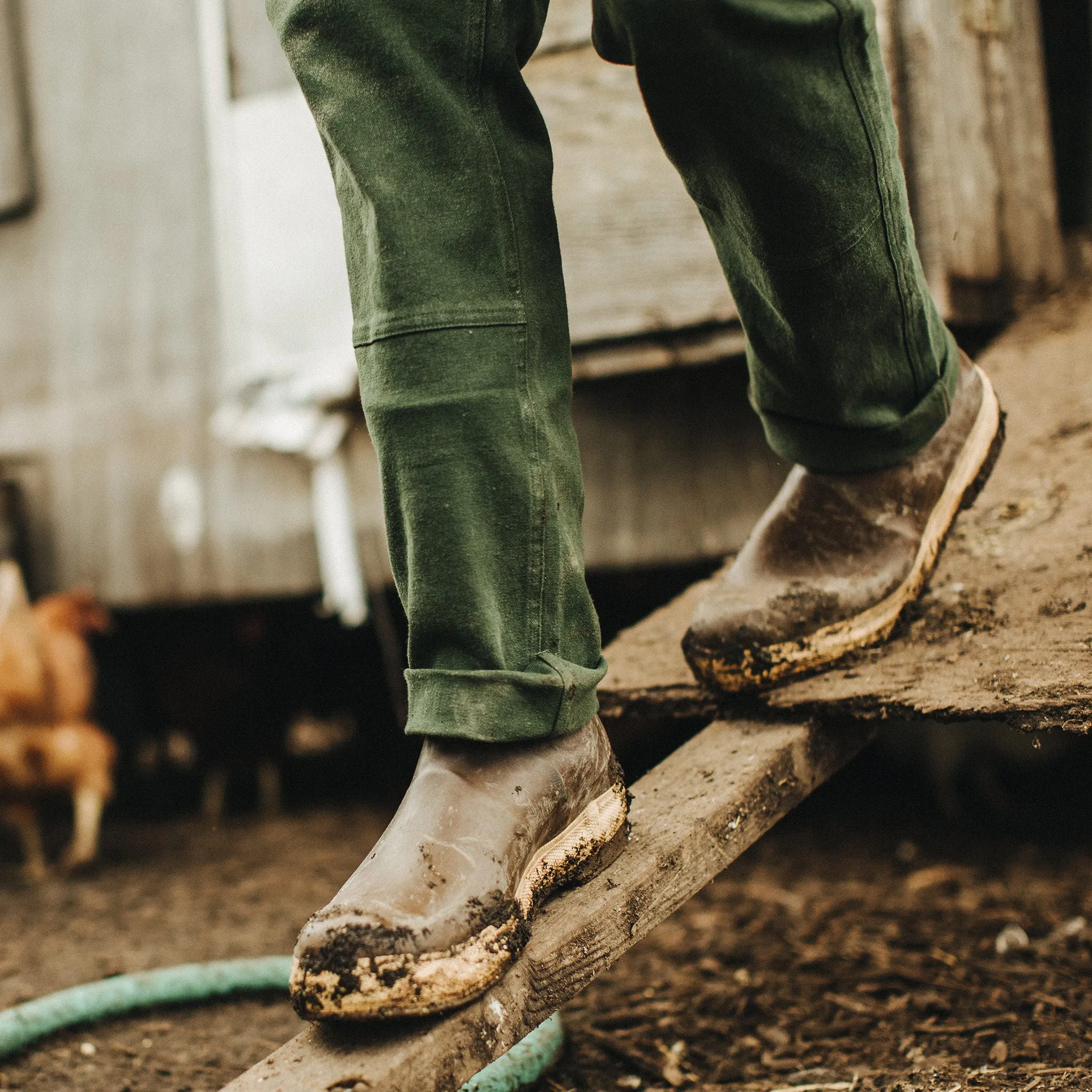 The Chore Pant in Dark Olive Boss Duck